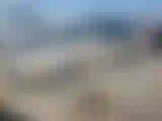 Vehicle Image- 2002 Toyota Avalon