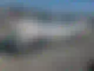 Vehicle Image- 2002 Toyota Avalon