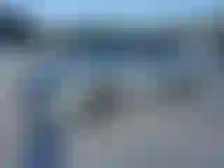 Vehicle Image- 2001 Toyota Camry