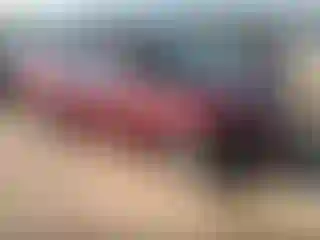 Vehicle Image- 2005 Toyota Camry