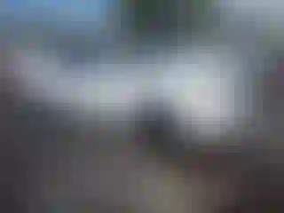 Vehicle Image- 2002 Toyota Camry