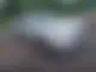 Vehicle Image- 2004 Toyota Camry
