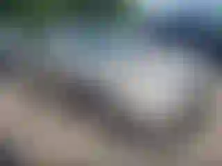 Vehicle Image- 2002 Toyota Camry