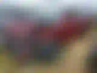 Vehicle Image- 2003 Toyota Camry