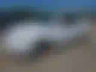 Vehicle Image- 2010 Toyota Camry
