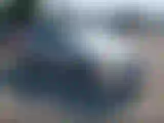 Vehicle Image- 2010 Toyota Camry