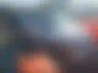 Vehicle Image- 2010 Toyota Camry