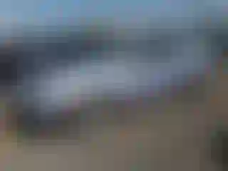 Vehicle Image- 1998 Toyota Camry