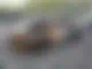 Vehicle Image- 2000 Toyota Camry