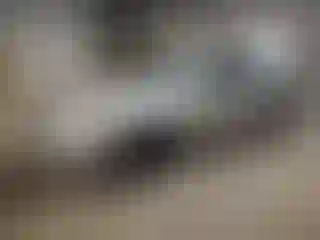 Vehicle Image- 2000 Toyota Camry