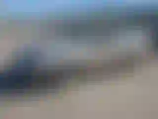 Vehicle Image- 1997 Toyota Camry