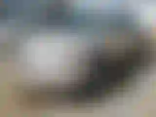 Vehicle Image- 2001 Toyota Camry