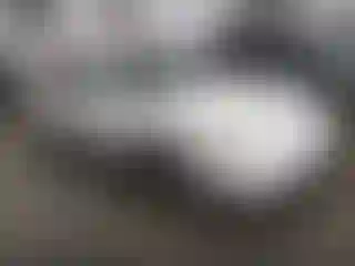 Vehicle Image- 1997 Toyota Camry