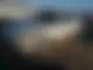 Vehicle Image- 1997 Toyota Camry