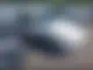 Vehicle Image- 1998 Toyota Camry