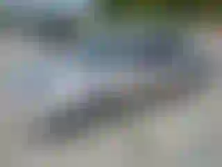 Vehicle Image- 1999 Toyota Camry