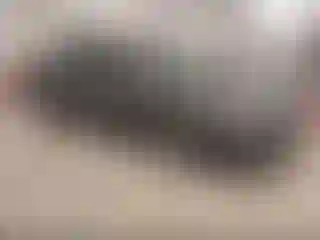 Vehicle Image- 2016 Toyota Avalon