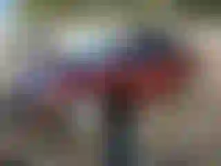 Vehicle Image- 2013 Toyota Avalon