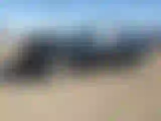 Vehicle Image- 2014 Toyota Avalon