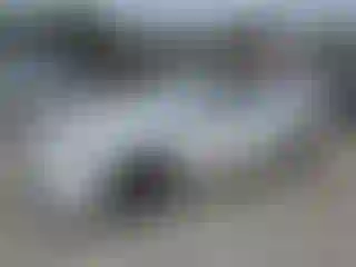 Vehicle Image- 2016 Toyota Avalon