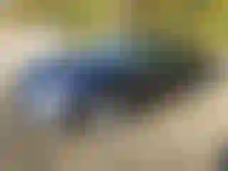 Vehicle Image- 2014 Toyota Avalon