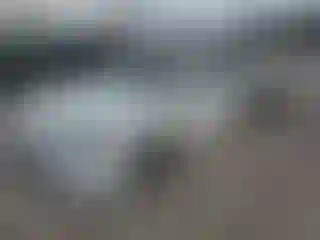 Vehicle Image- 2014 Toyota Avalon