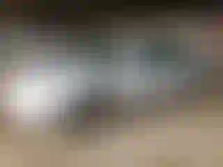 Vehicle Image- 2005 Toyota Avalon