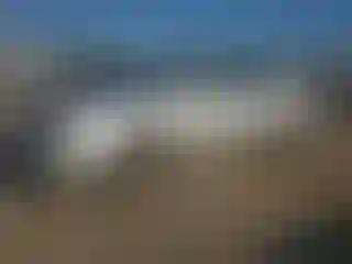 Vehicle Image- 2006 Toyota Avalon