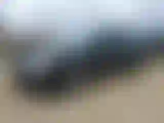 Vehicle Image- 2006 Toyota Avalon