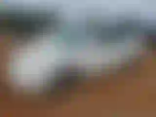 Vehicle Image- 2007 Toyota Avalon
