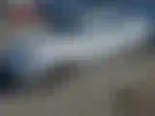 Vehicle Image- 2005 Toyota Avalon