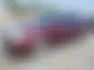 Vehicle Image- 2005 Toyota Avalon