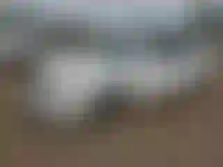 Vehicle Image- 2007 Toyota Avalon
