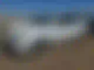 Vehicle Image- 2007 Toyota Avalon