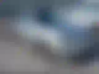 Vehicle Image- 2008 Toyota Avalon