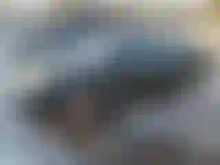 Vehicle Image- 2008 Toyota Avalon