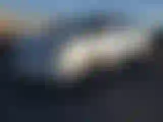 Vehicle Image- 2008 Toyota Avalon