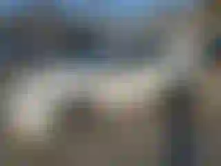 Vehicle Image- 2008 Toyota Avalon