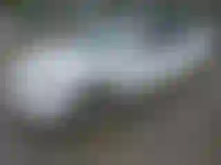 Vehicle Image- 2007 Toyota Avalon