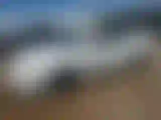 Vehicle Image- 2005 Toyota Avalon