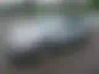 Vehicle Image- 2006 Toyota Avalon