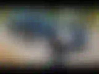 Vehicle Image- 2007 Toyota Avalon