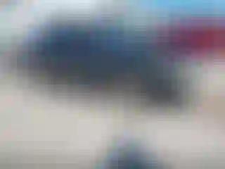 Vehicle Image- 2008 Toyota Avalon