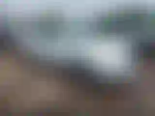 Vehicle Image- 2009 Toyota Avalon