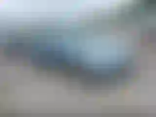 Vehicle Image- 2009 Toyota Avalon