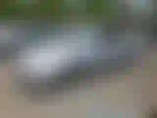 Vehicle Image- 2005 Toyota Avalon
