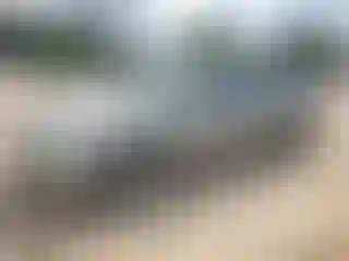 Vehicle Image- 2006 Toyota Avalon