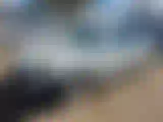 Vehicle Image- 2009 Toyota Avalon