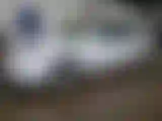 Vehicle Image- 2006 Toyota Avalon