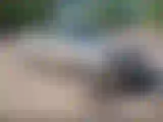 Vehicle Image- 2007 Toyota Avalon